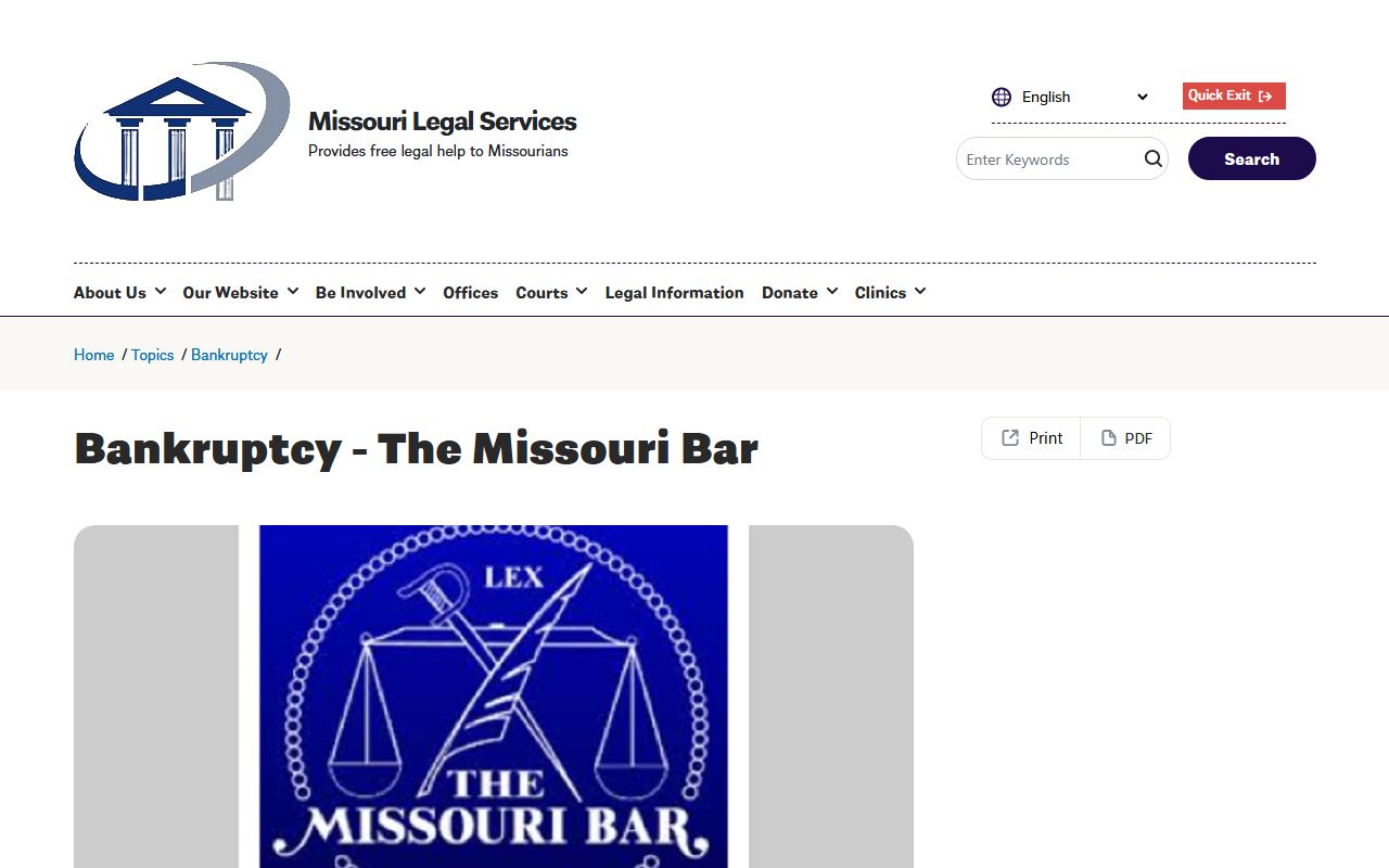 Missouri pro bono legal services for help with bankruptcy records